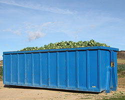 Dumpster Rental in Hampton County