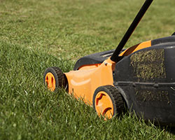 Lawn Care in Olmsted County
