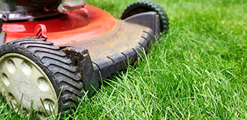 Lawn Mowing Service Lauderdale County, MS