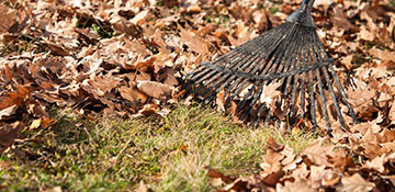 Lauderdale County Leaf Removal