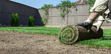 Dawson County Sod Installation