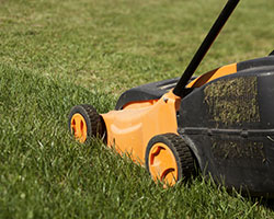 Lawn Care in Williamsburg County