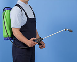 Pest Control in Shoshone County